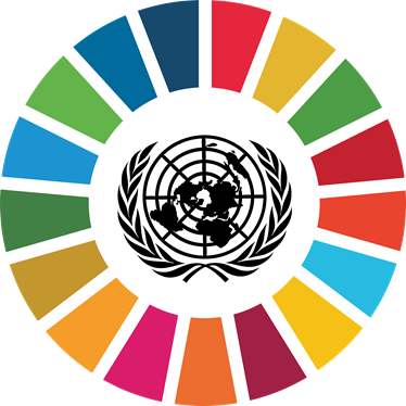 FN 17 Verdensmål grafik